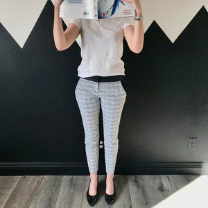 Express Columnist Pants